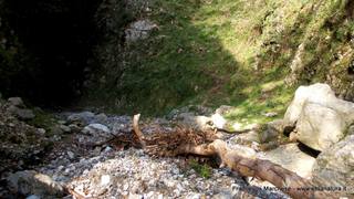 nte Scuderi-23-11-2014 09-46-50